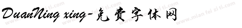 DuanNing xing字体转换